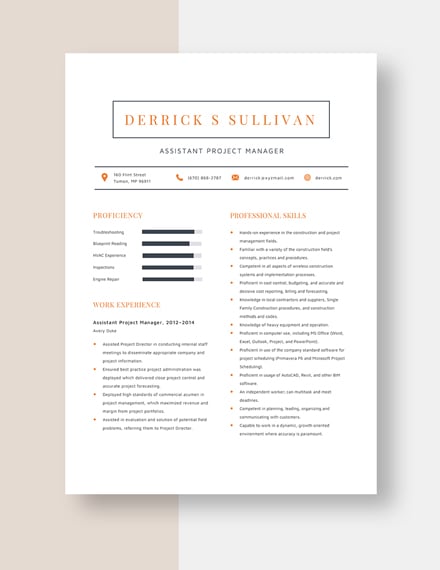 google docs resume template assistant manager