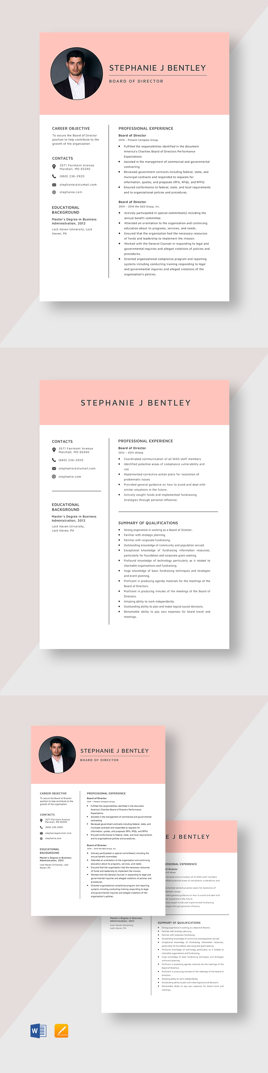 Board Of Director Resume Template Word Apple Pages 9927