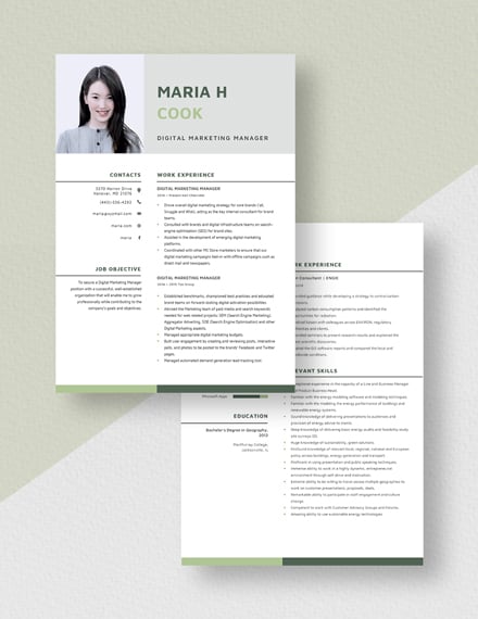 Digital Marketing Manager Resume Download