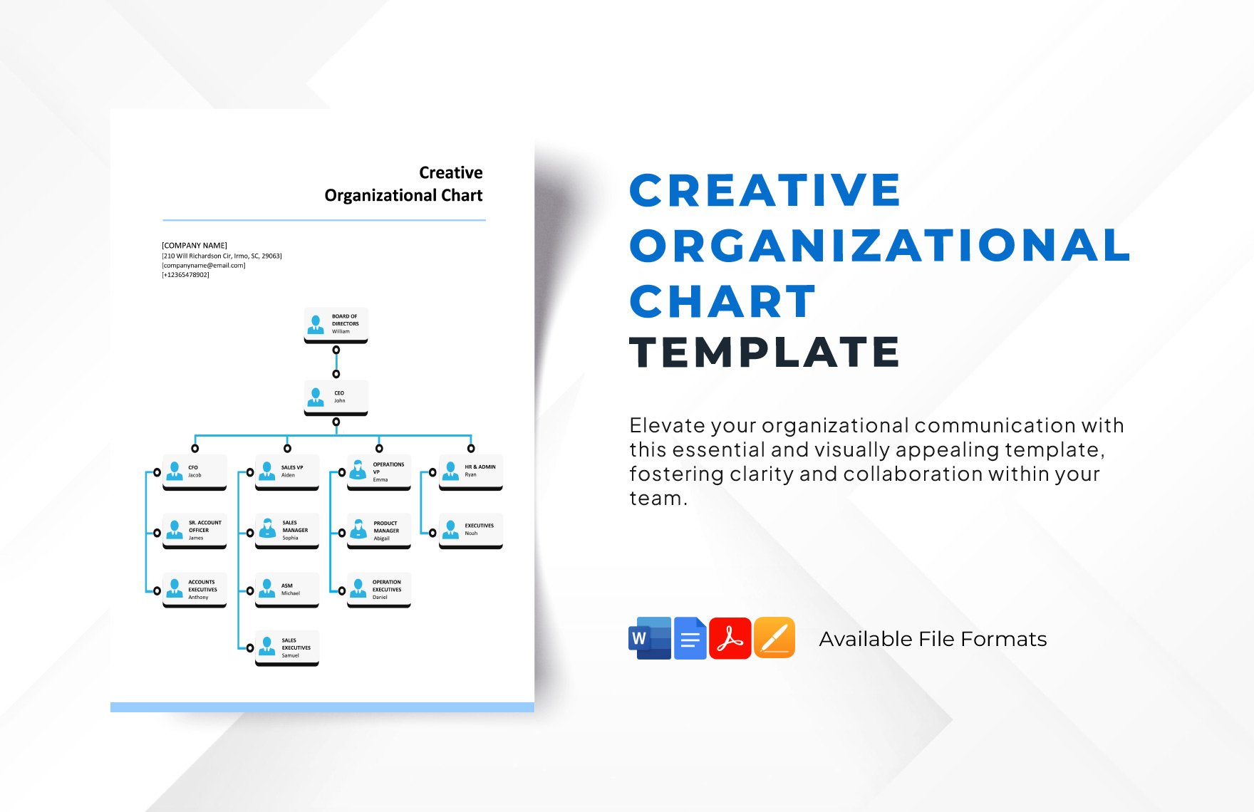 Creative Organizational Chart Template in Word, Google Docs, PDF, Apple Pages