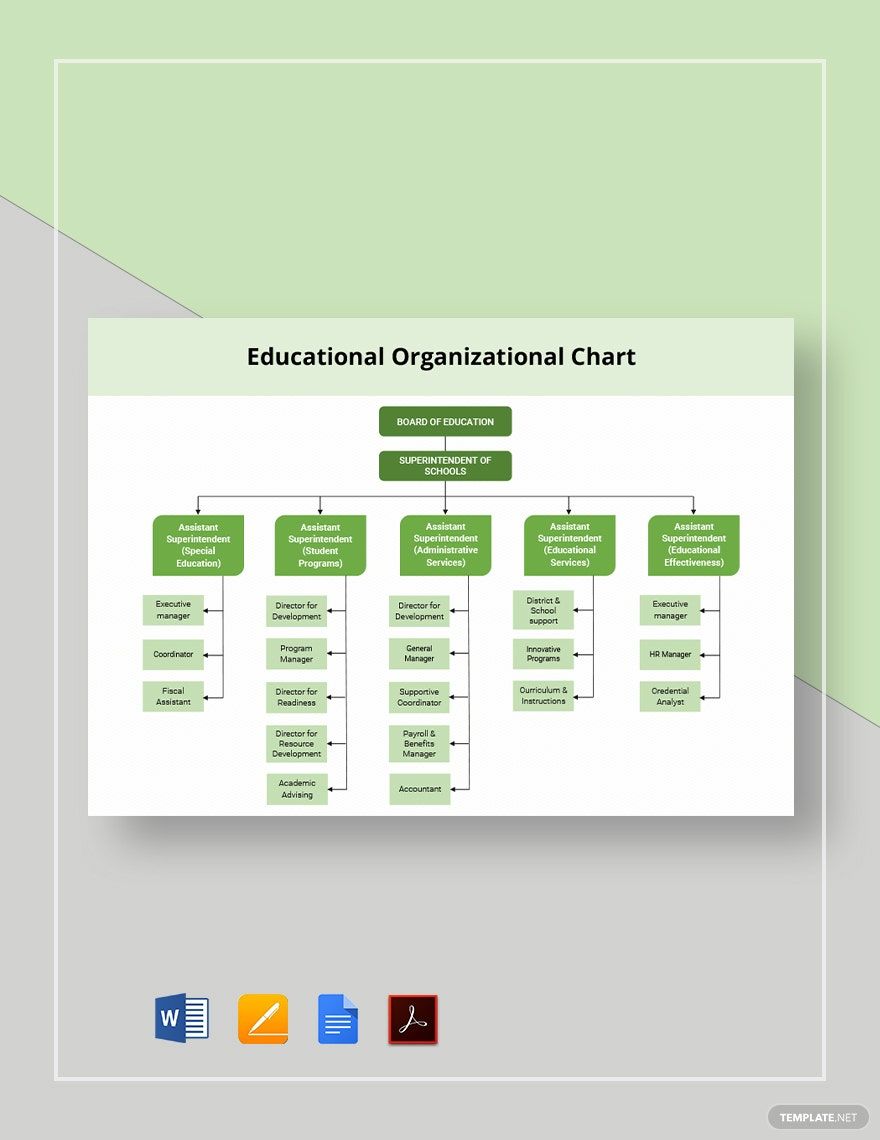 Educational Organizational Chart Template