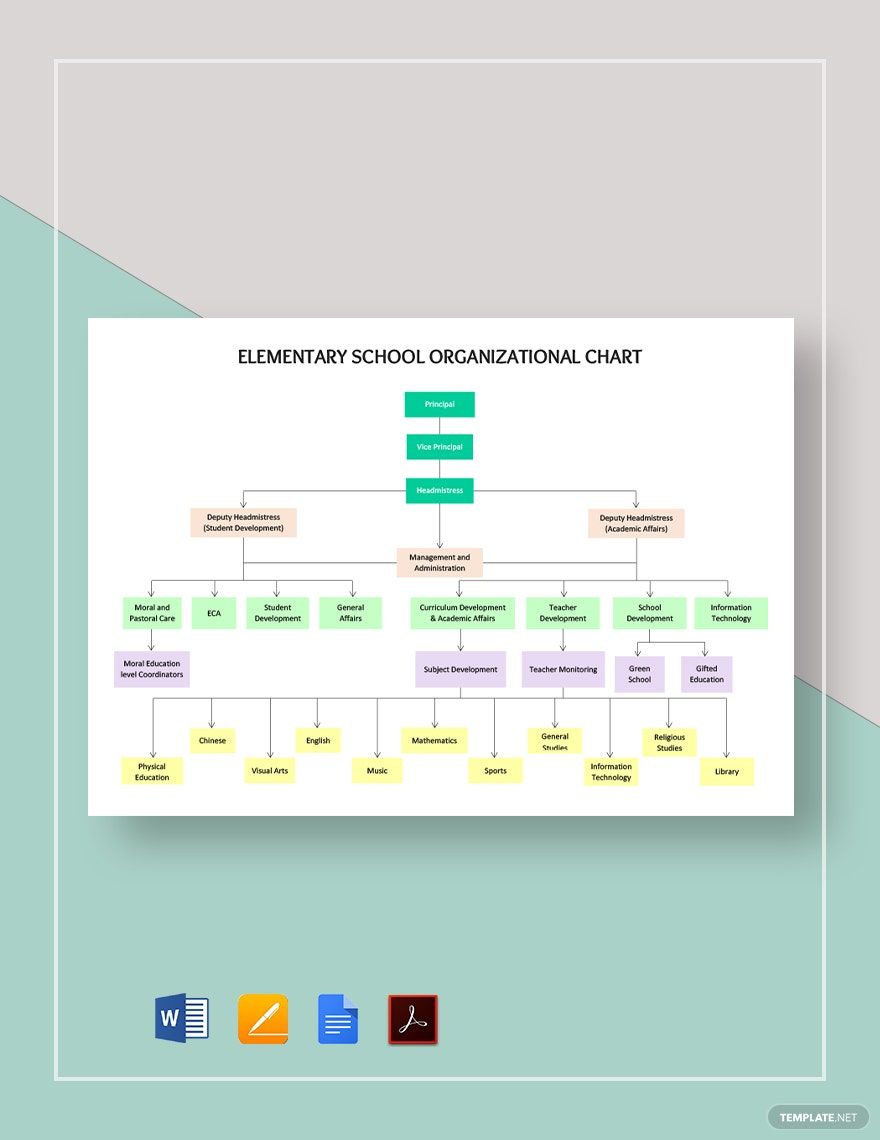 Elementary School Organizational Chart Template
