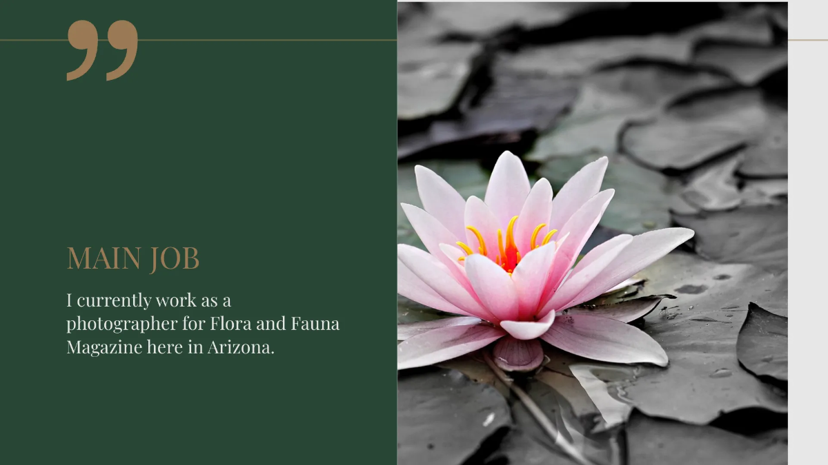 Free Photographer Portfolio Presentation Template to Edit Online