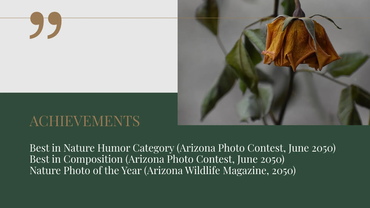 Free Photographer Portfolio Presentation Template to Edit Online