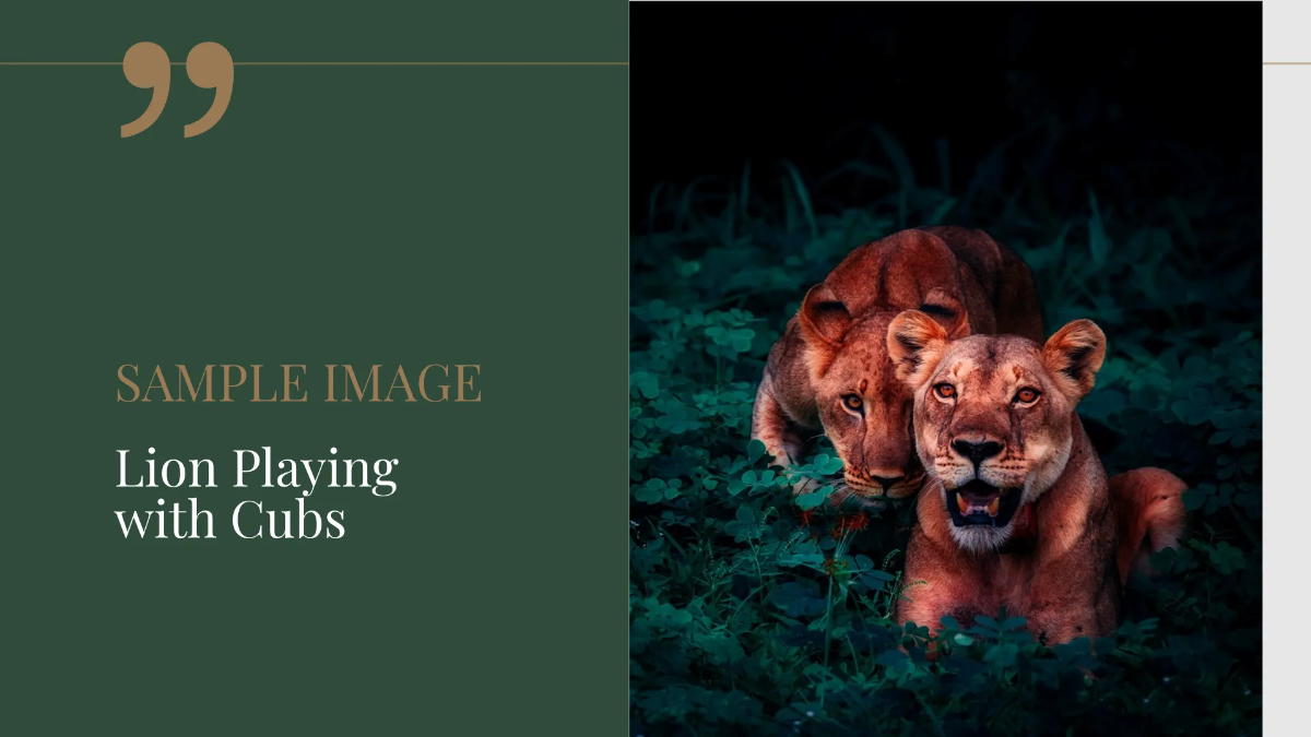 Free Photographer Portfolio Presentation Template to Edit Online