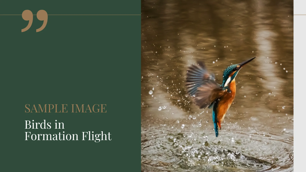 Free Photographer Portfolio Presentation Template to Edit Online