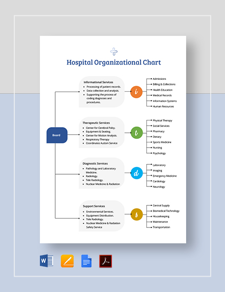 Hospital Organizational Chart 