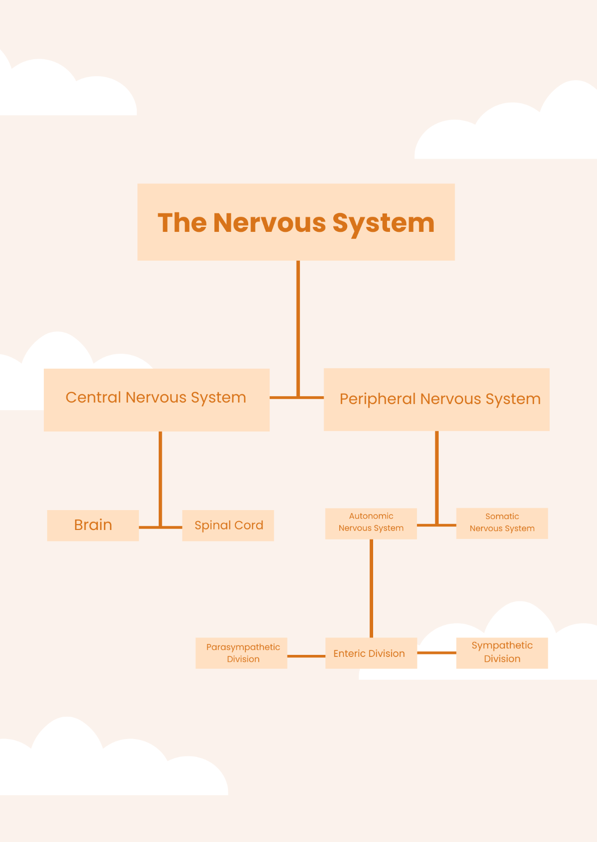 Nervous System Chart Template