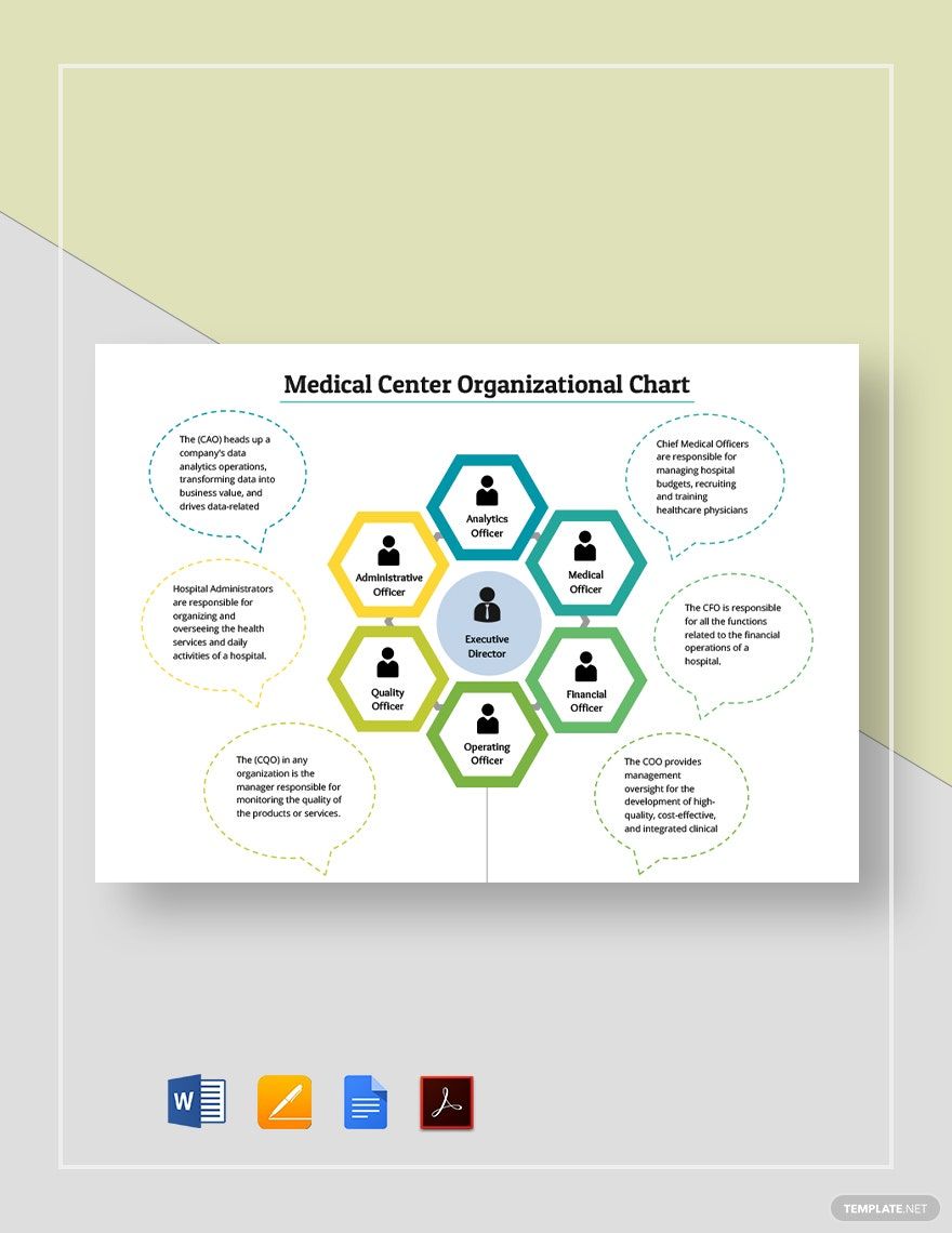 Medical Center Organizational Chart Template