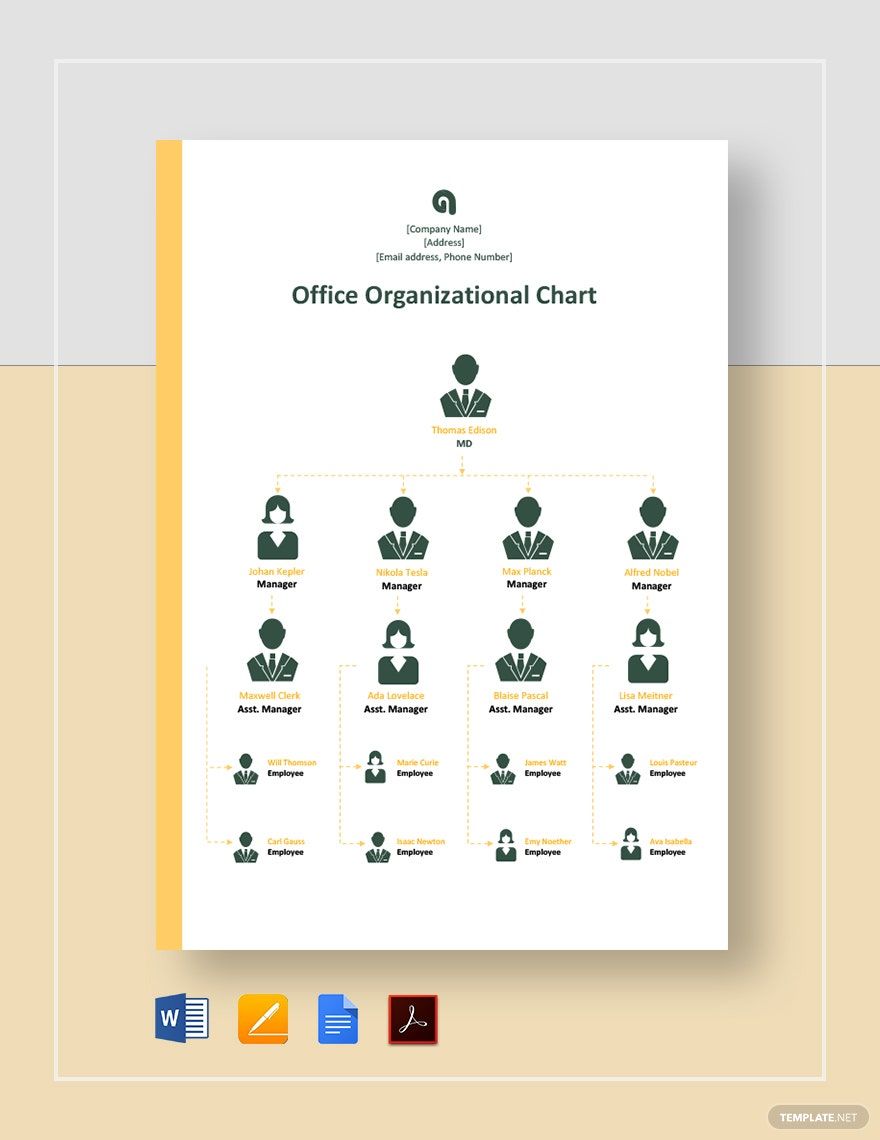 Office Organizational Chart Template in Word, Google Docs, PDF, Apple Pages