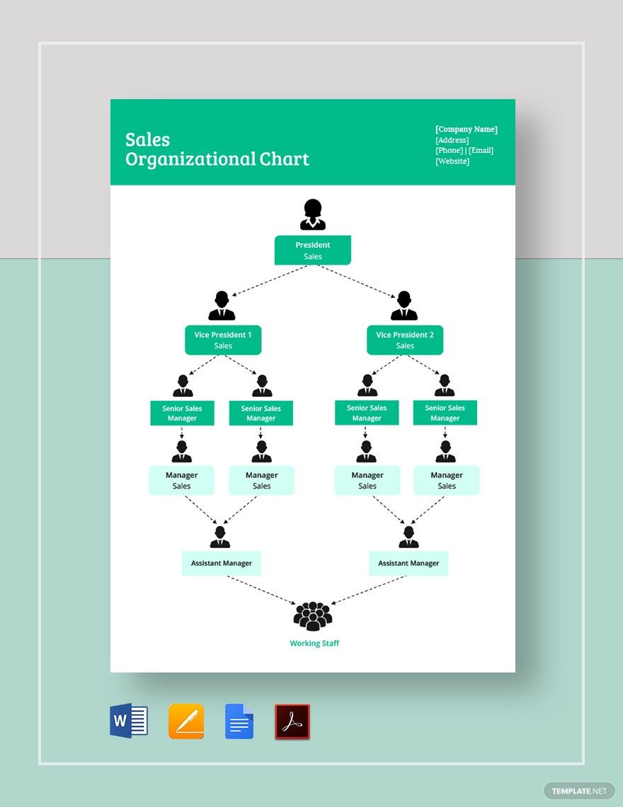 Simple Sales Organizational Chart Template