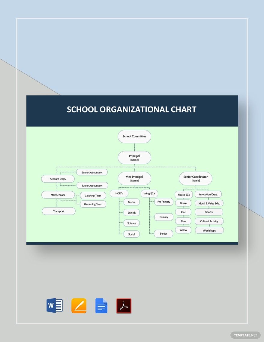 School Organizational Chart Template Google Docs Word Apple Pages 