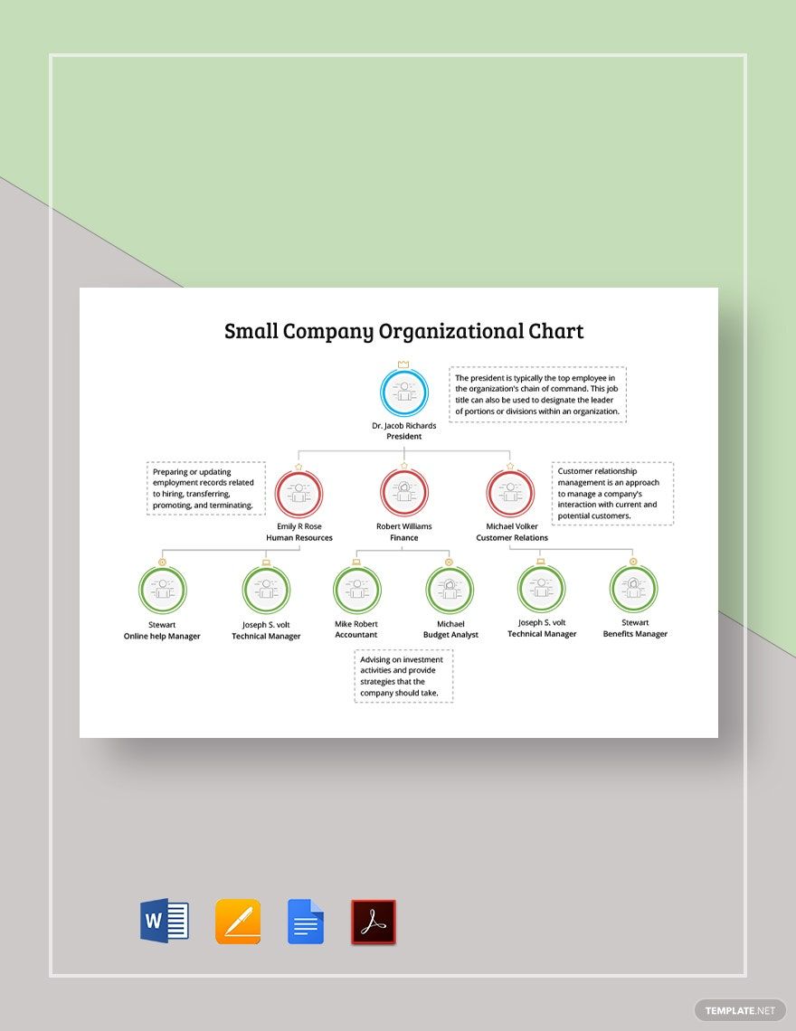 Small Company Organizational Chart Template
