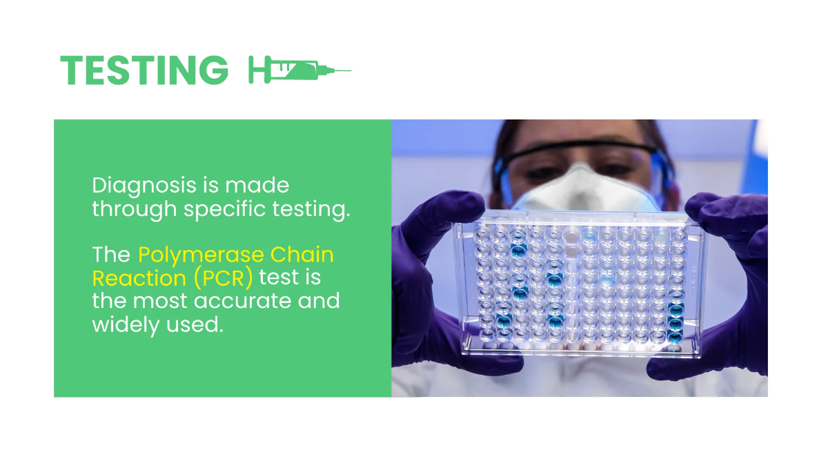 Free Minimalist Medical Presentation Template to Edit Online