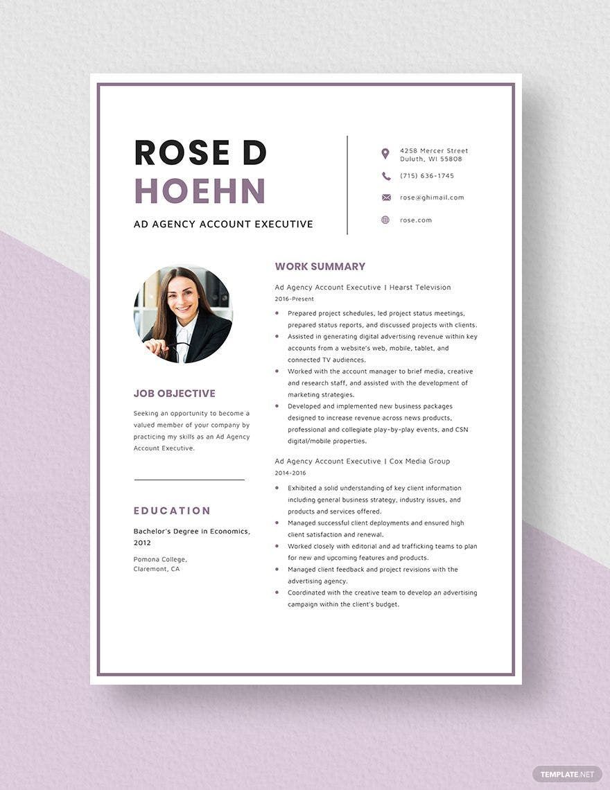 Free Ad Agency Account Executive Resume