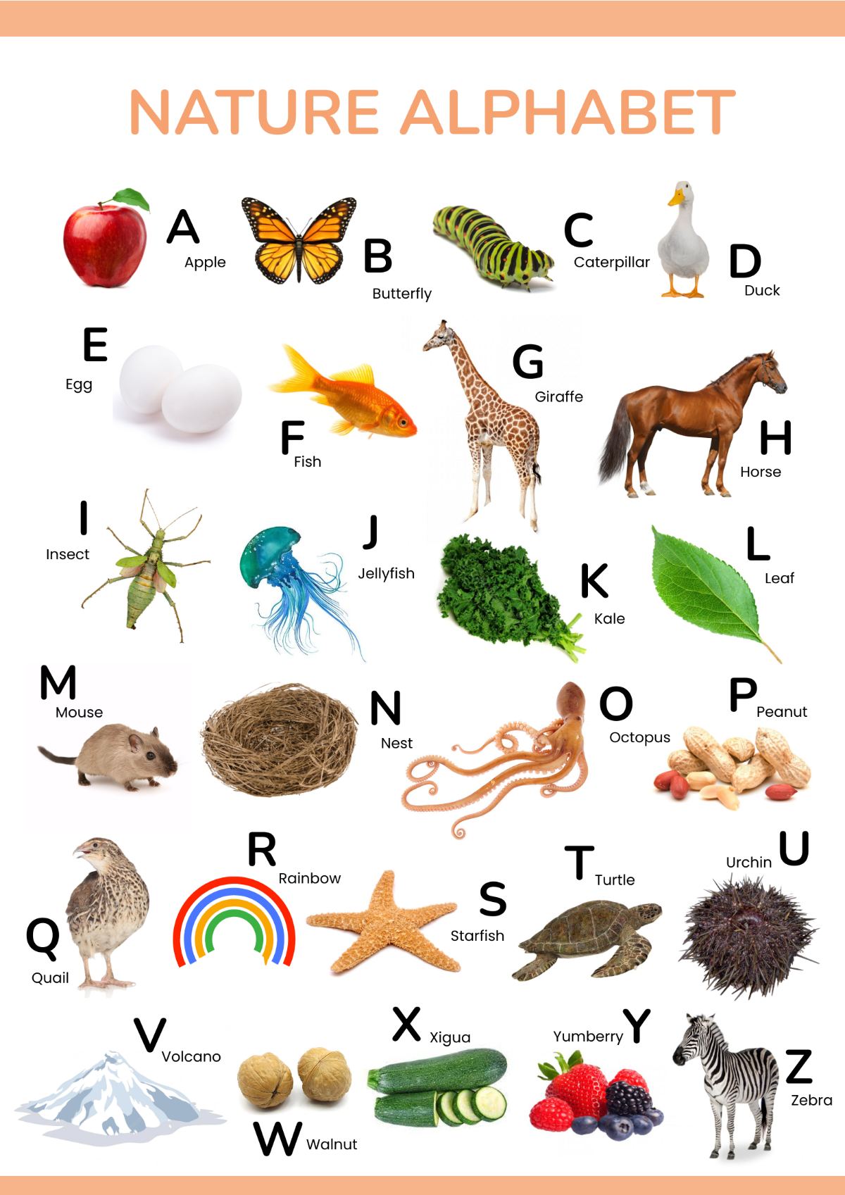 Nature Alphabet Chart Template