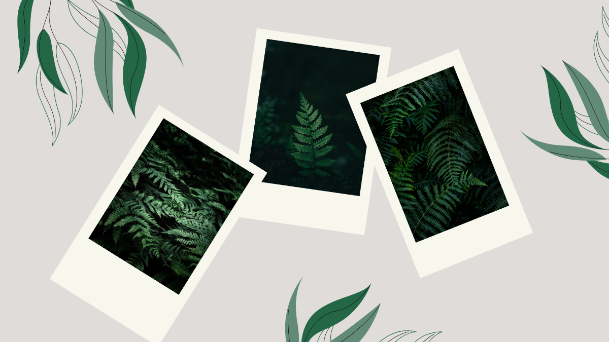 World Environment Day Photo Background Template