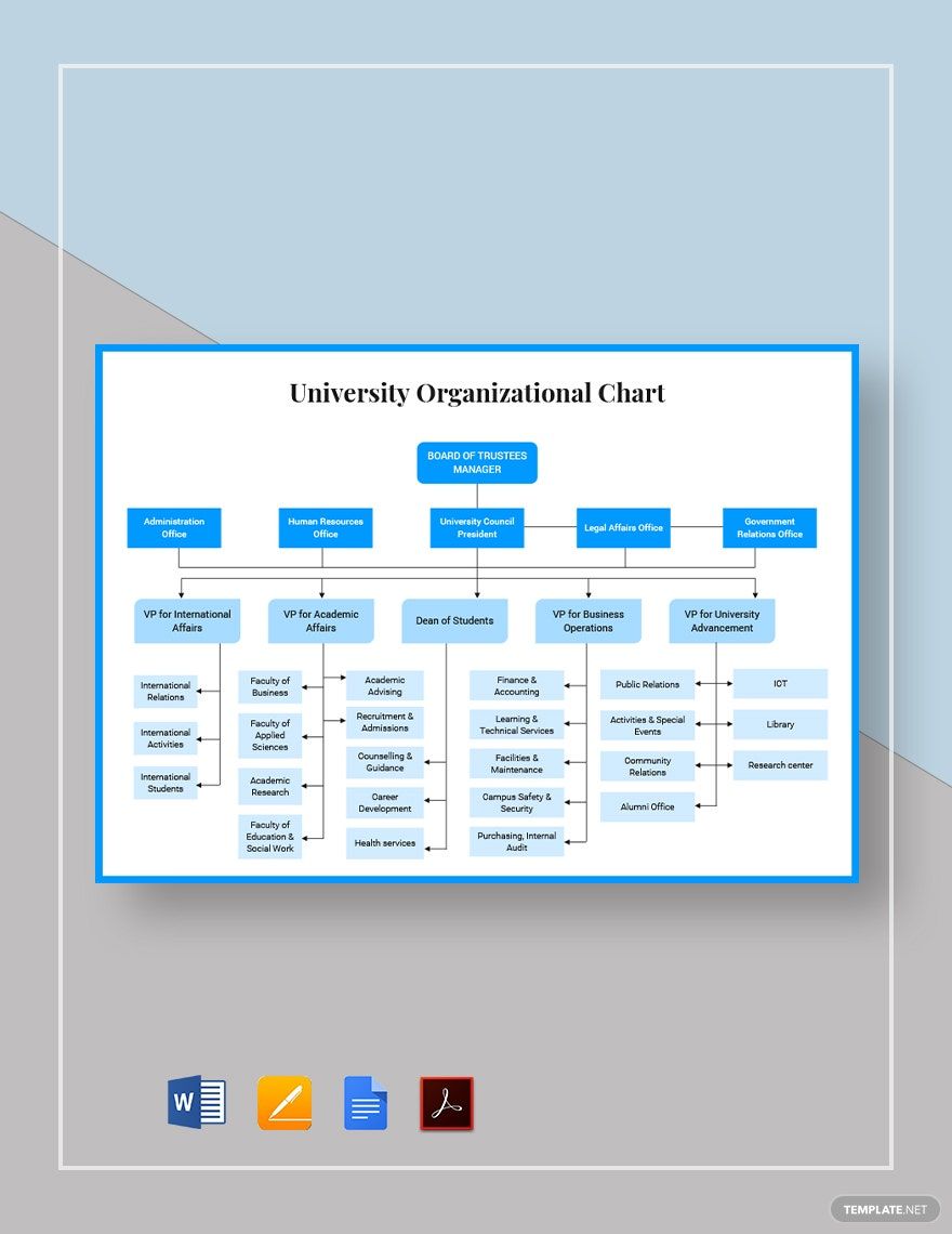 Sample University Organizational Chart Template