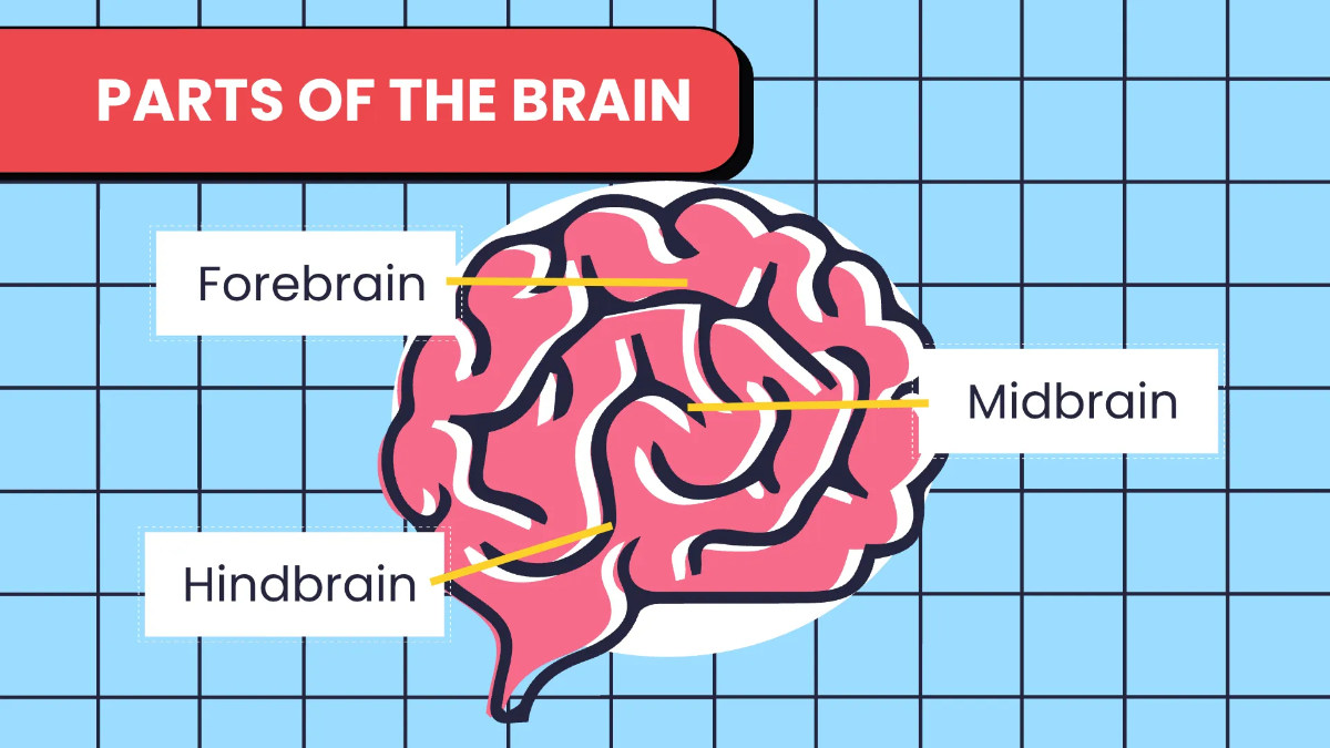 Free Biology Subject for High School Presentation Template to Edit Online