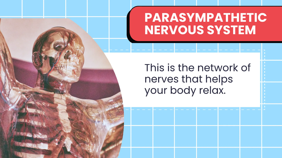 Free Biology Subject for High School Presentation Template to Edit Online