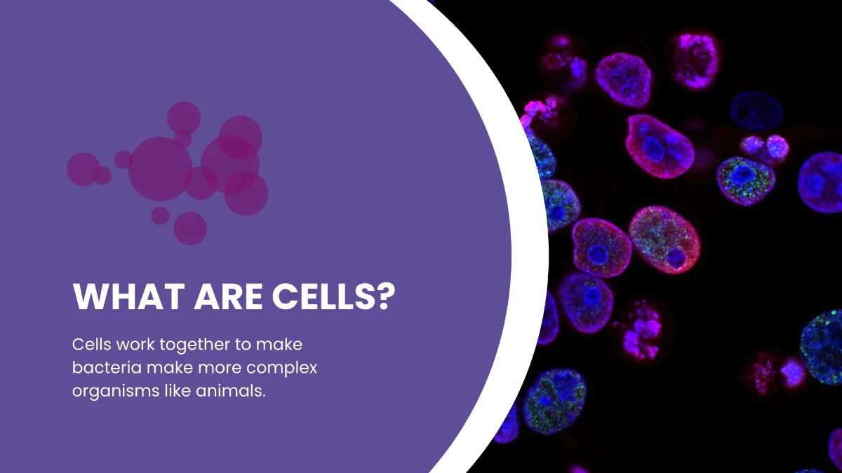 Free Science Subject for Middle School Presentation Template to Edit Online