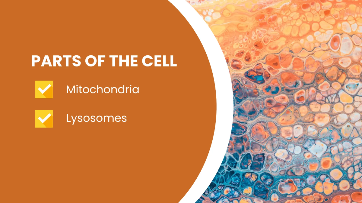 Free Science Subject for Middle School Presentation Template to Edit Online