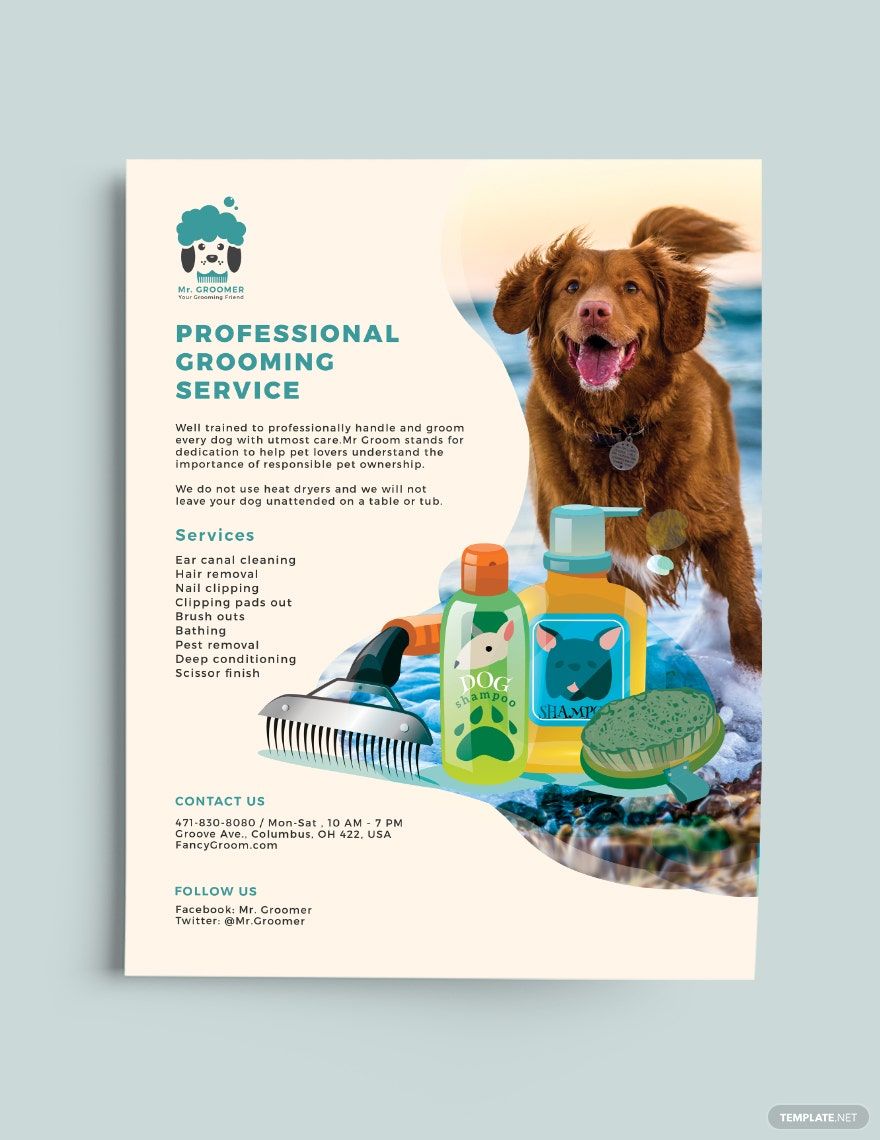 Pet Grooming Flyer Template in Word, Google Docs, Illustrator, PSD, Apple Pages, Publisher, InDesign