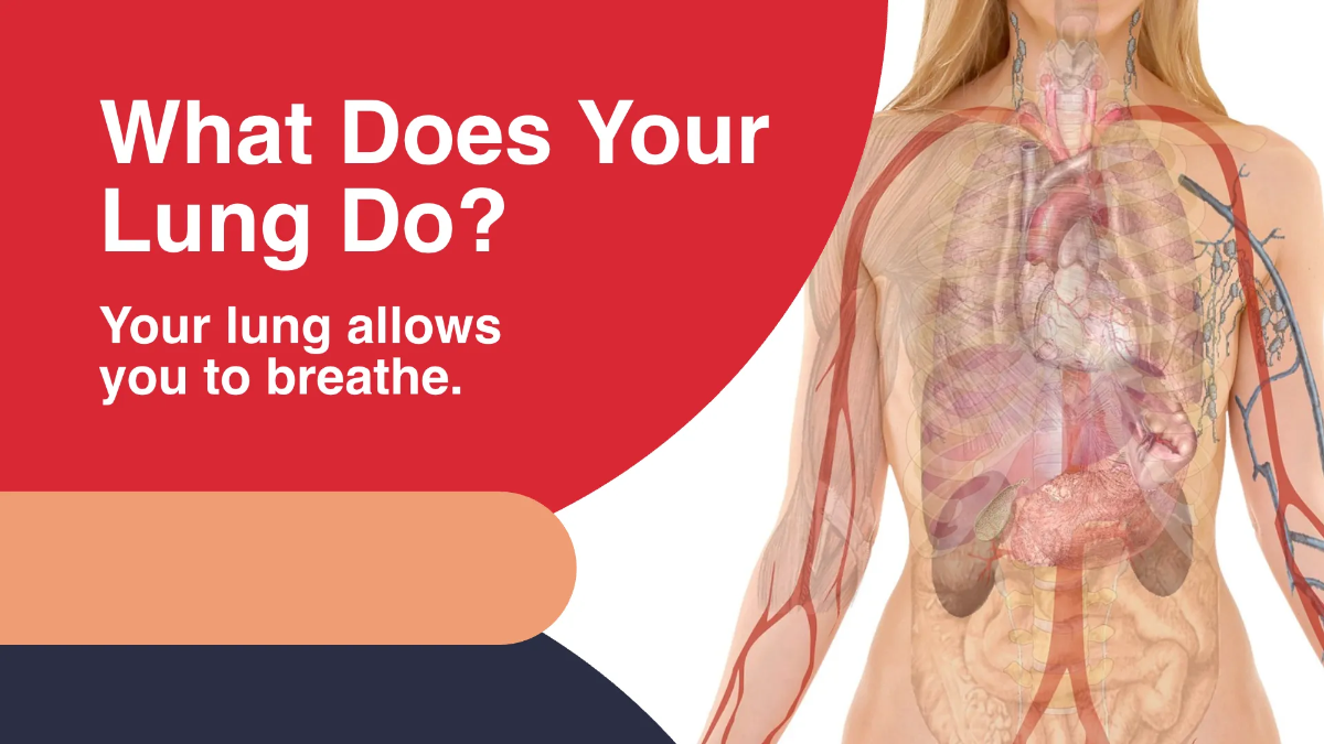 Free Lung Cancer Awareness Campaign Presentation Template to Edit Online