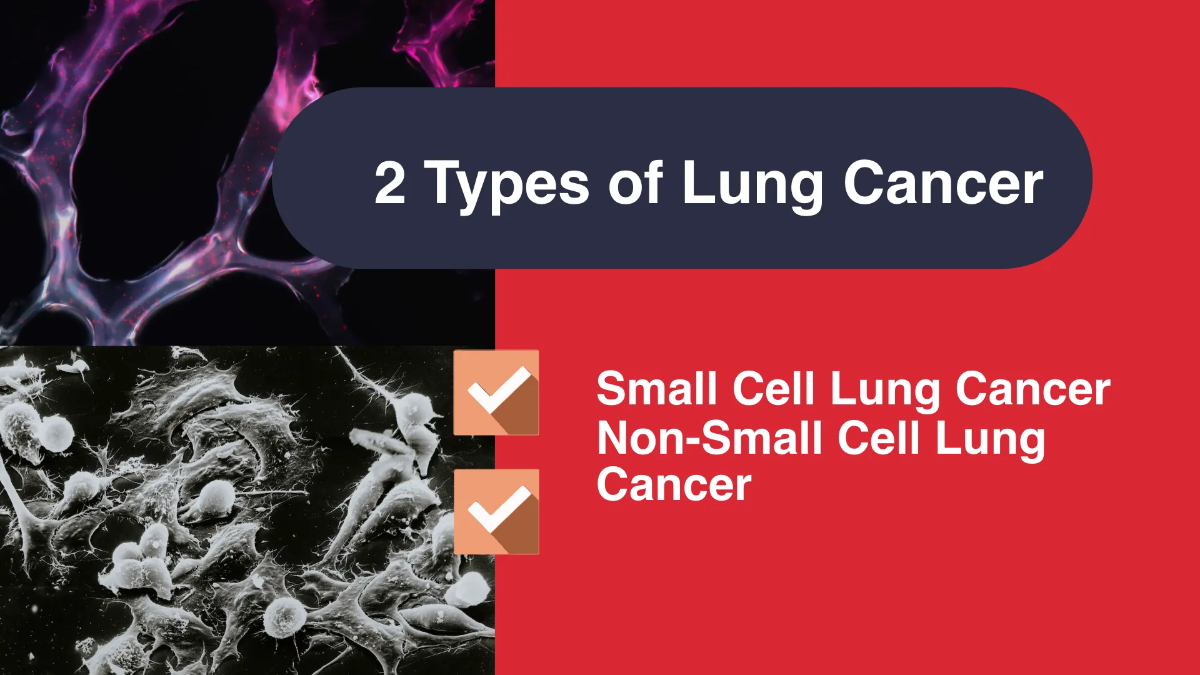 Free Lung Cancer Awareness Campaign Presentation Template to Edit Online