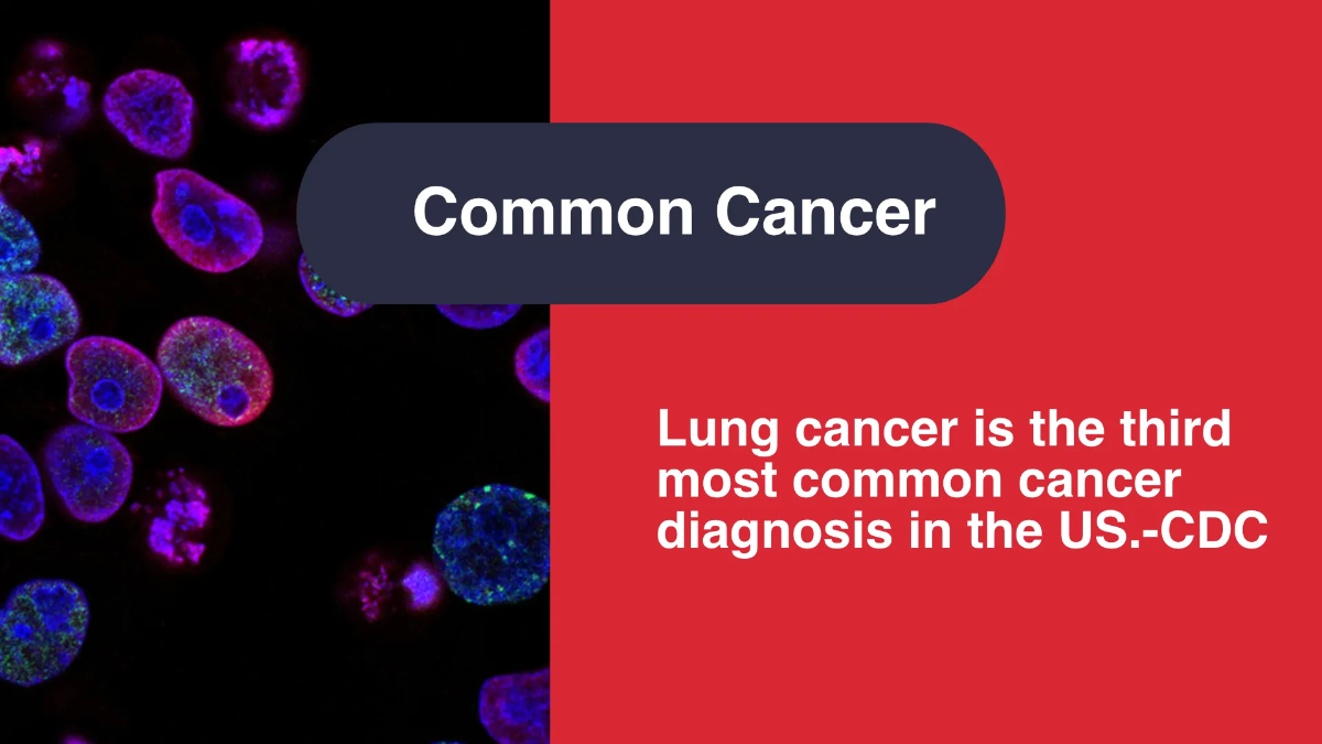 Free Lung Cancer Awareness Campaign Presentation Template to Edit Online