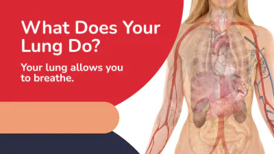Free Lung Cancer Awareness Campaign Presentation Template to Edit Online
