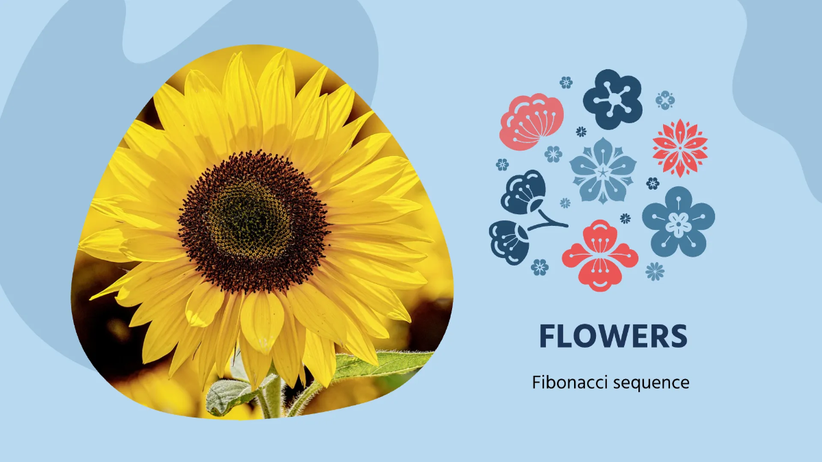 Free Pretty Math Presentation Template to Edit Online