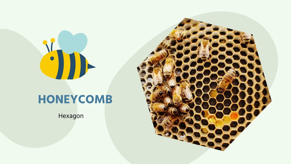 Free Pretty Math Presentation Template to Edit Online