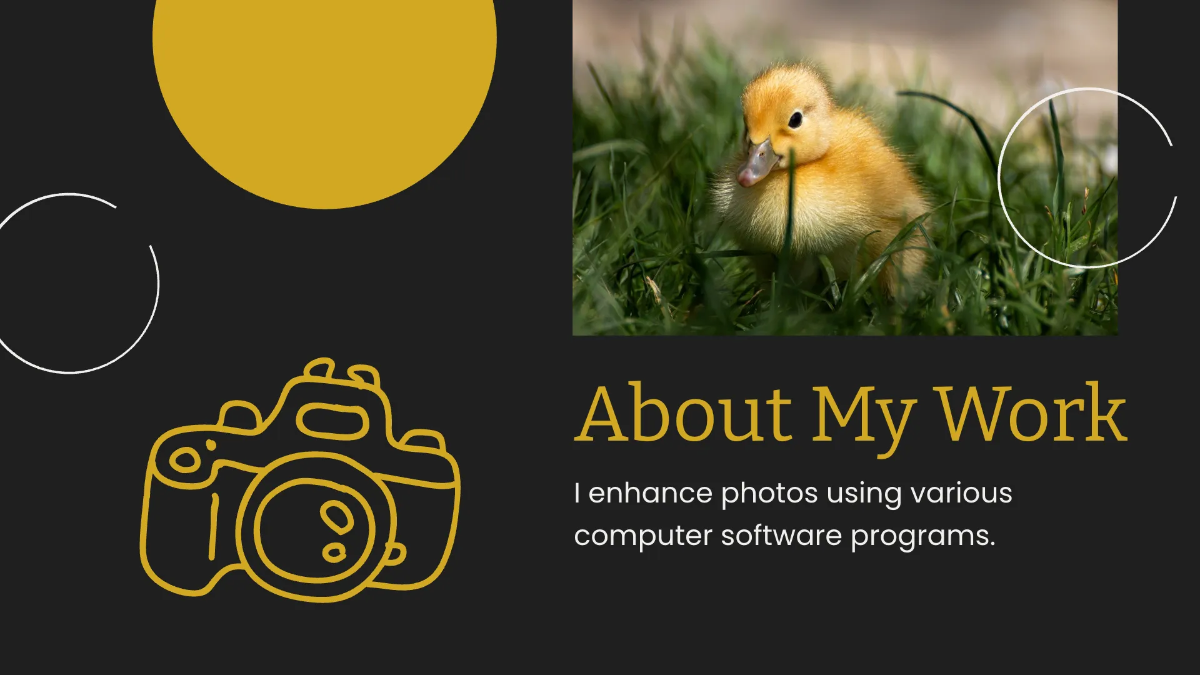 Free Photo Retoucher Portfolio Presentation Template to Edit Online