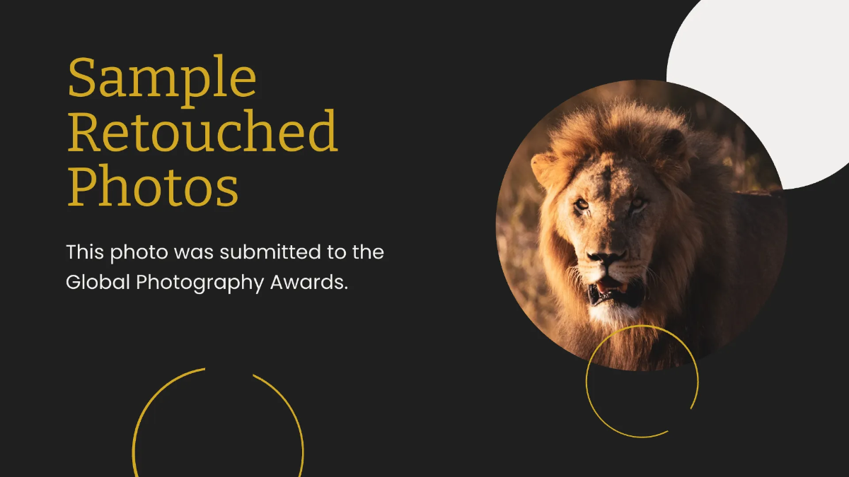 Free Photo Retoucher Portfolio Presentation Template to Edit Online