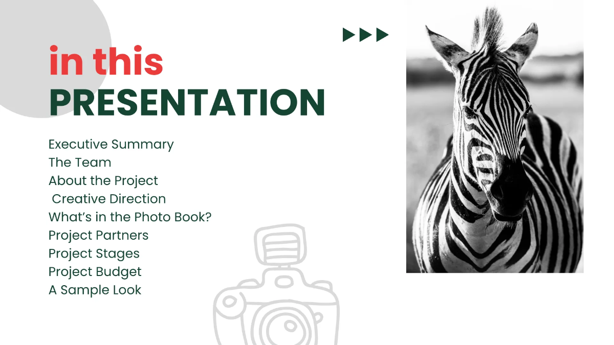Free Photography Project Proposal Presentation Template to Edit Online