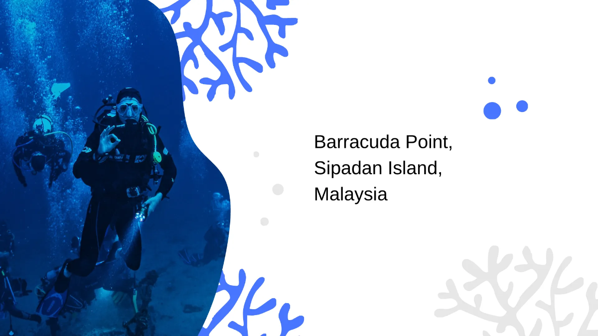 Free Diving Photographer Portfolio Presentation Template to Edit Online