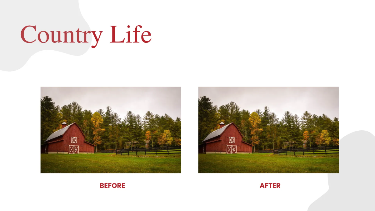 Free Farm Photographer Portfolio Presentation Template to Edit Online