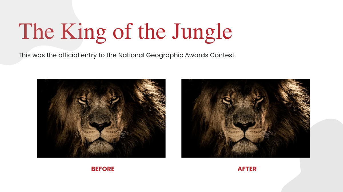 Free Farm Photographer Portfolio Presentation Template to Edit Online