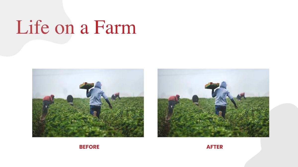 Free Farm Photographer Portfolio Presentation Template to Edit Online