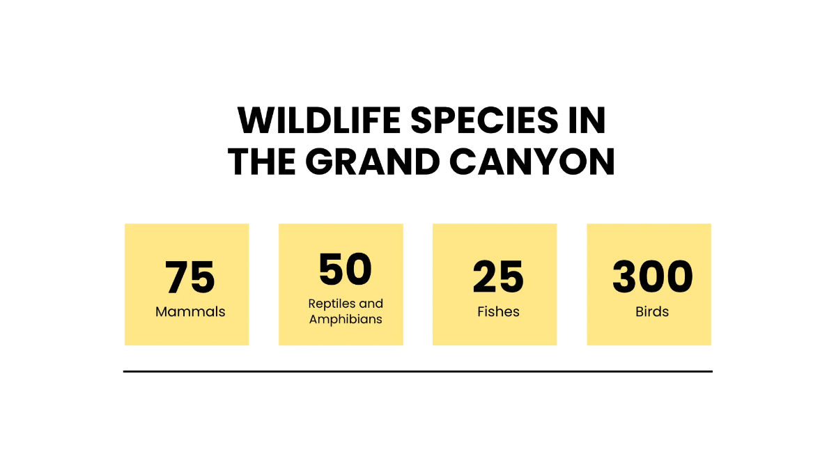 Free Travel Presentation Template to Edit Online