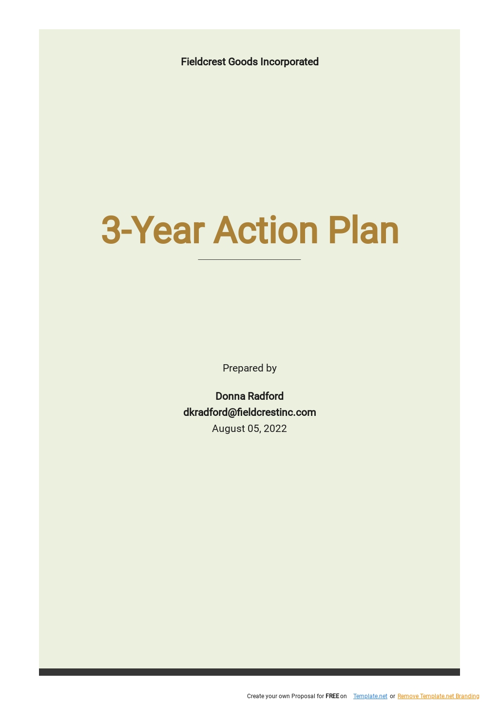 3 Year Financial Plan Template - Google Docs, Word, Apple Pages ...