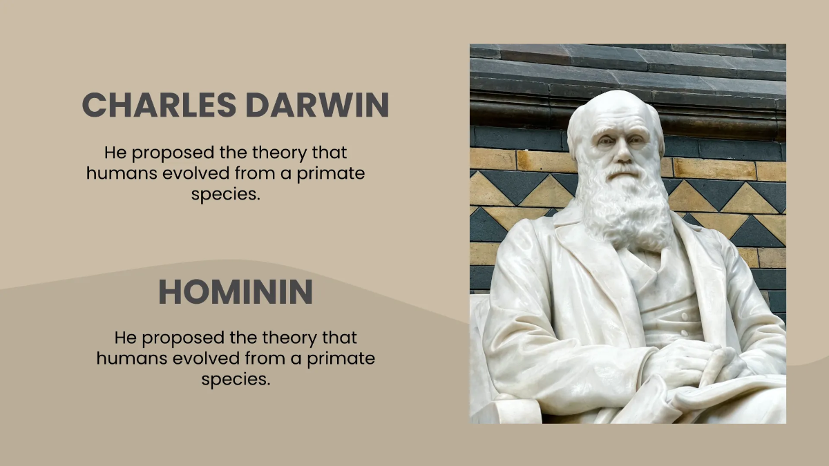 Free Fun Social Studies Presentation Template to Edit Online