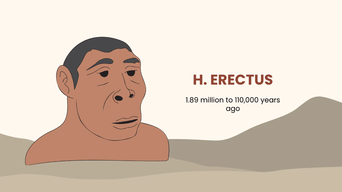 Free Fun Social Studies Presentation Template to Edit Online