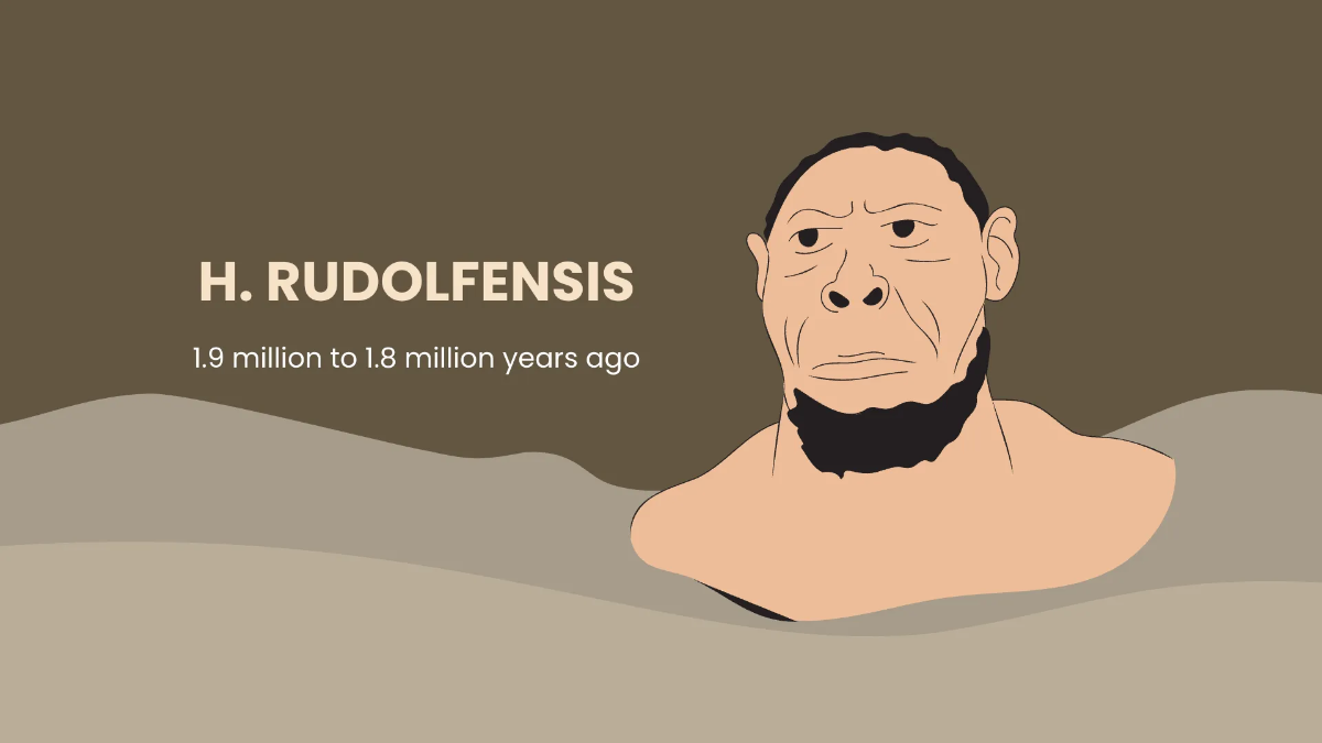 Free Fun Social Studies Presentation Template to Edit Online