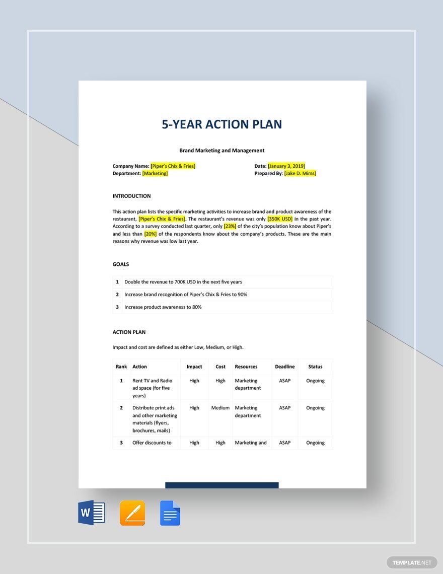 5-Year Action Plan Template
