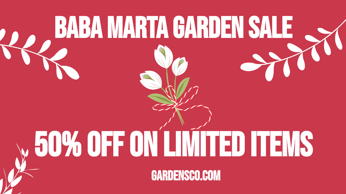 Baba Marta Flyer Background