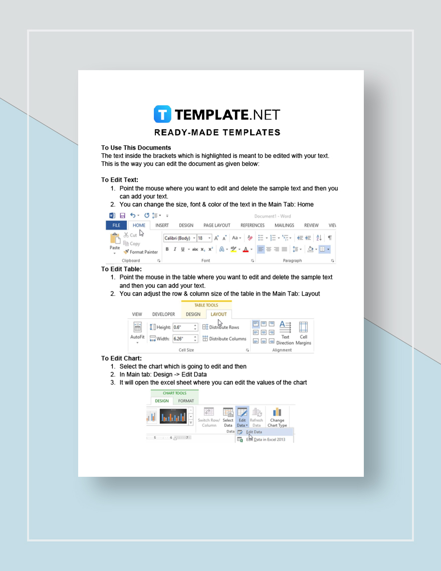 B2B Sales Plan Template in Word Pages Google Docs Download