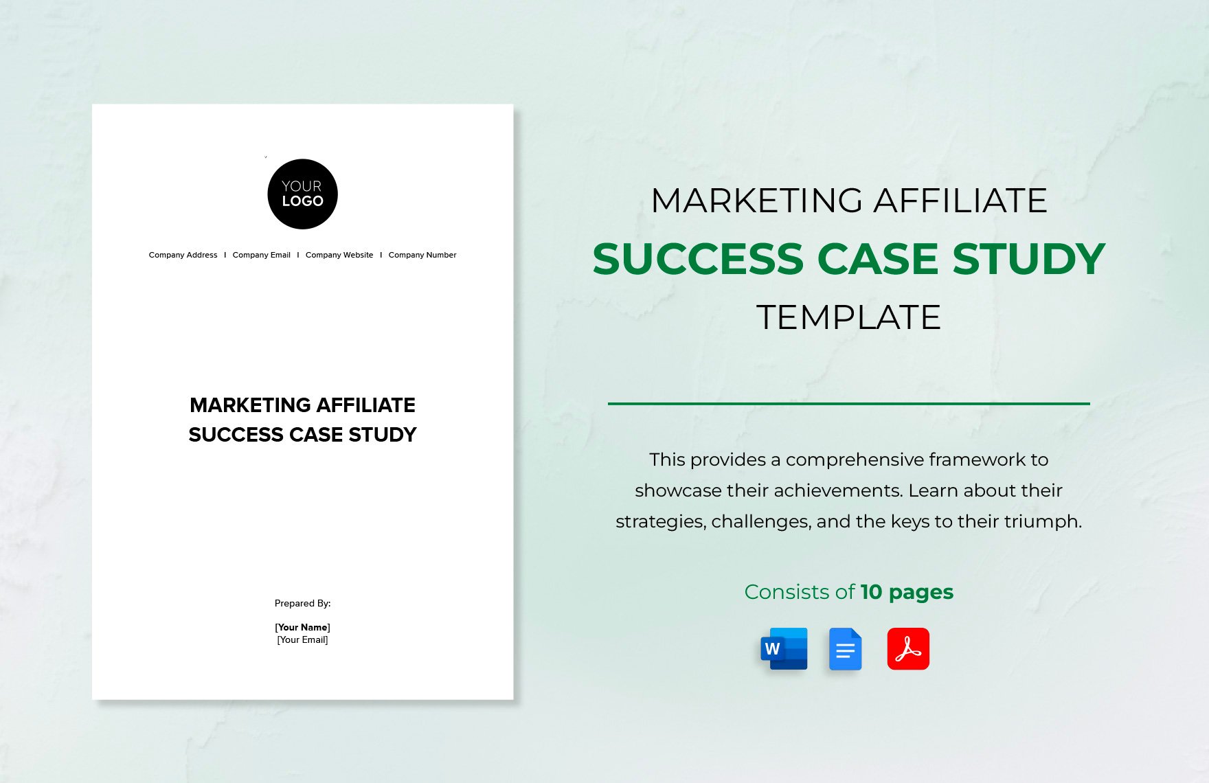 Marketing Affiliate Success Case Study Template