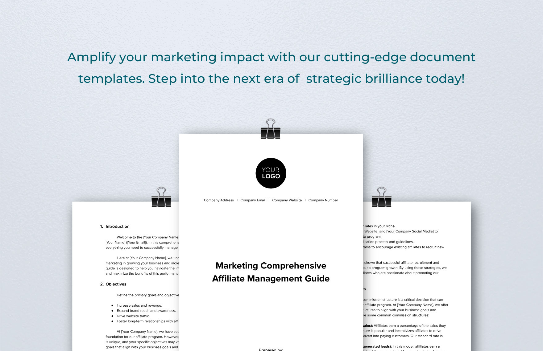 Marketing Comprehensive Affiliate Management Guide Template